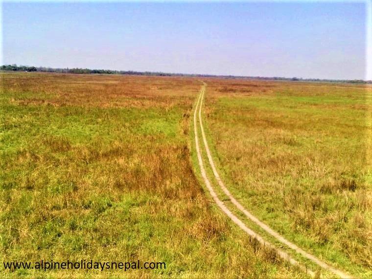 Grassland of Suklaphanta Wildlife Reserve