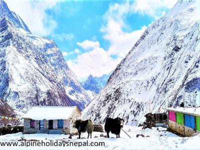Around Manaslu Circuit Trek