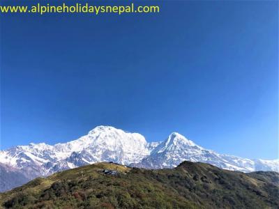 Annapurna South and Hiuchuli with Dense Rhododendron Forest