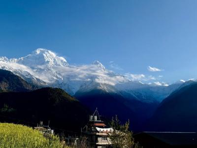 Himalayas from Ghandruk