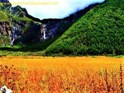 Tsum Valley and Manaslu Circuit Trek